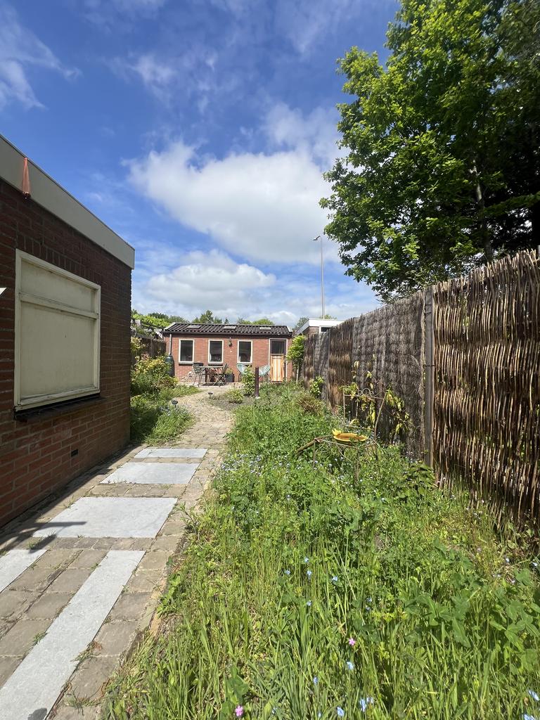 Hovenier Hoorn heeft stadstuin aangelegd