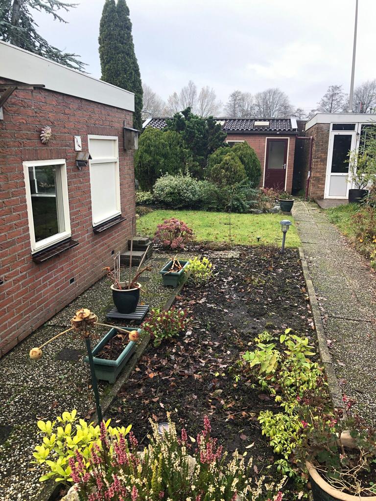 Tuin in Hoorn