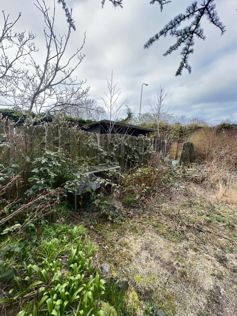 Hovenier Hoorn die tuin foto maakt voordat hij het opknapt 
