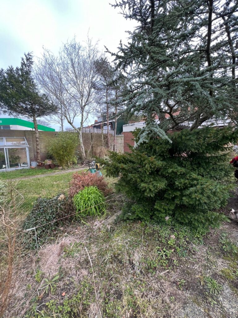 Tuin zonder erfgrens in de binnenstad van Hoorn